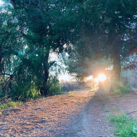 Monte Rosado Viviendas Vacacionales La Peza Exteriér fotografie